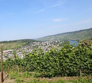 Durch die Weinberge