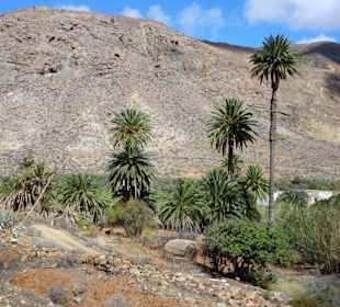 Impressionen aus dem Vega de Rio Palmas