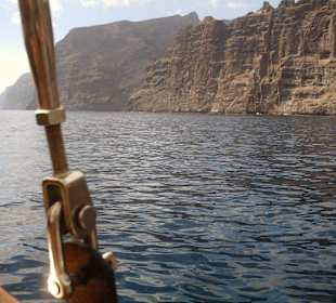 Delphin Tour