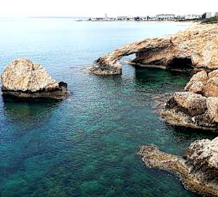 Ayia Napa Bogen Monachus Monachus