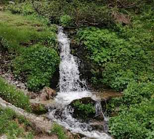 Tauplitzalm