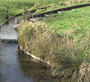 Unterer Schlossgarten Stuttgart