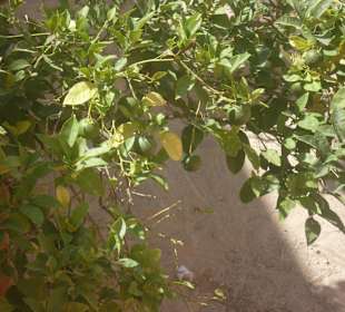 Piękna przyroda a trasie przejazdu