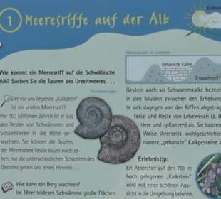Klimaweg Sonnenalb