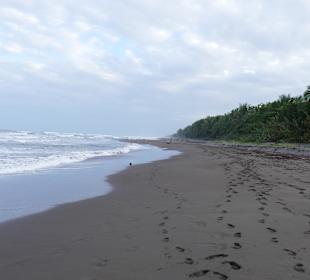 Strand Tortuguero