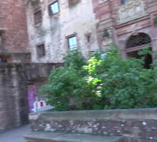Schloss Heidelberg