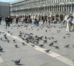 Piazza S. Marco
