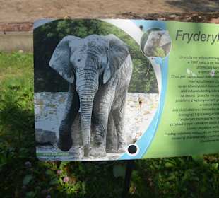 Zoo