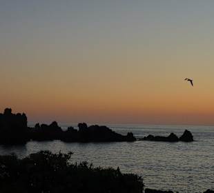 Ausflug auf den Teide