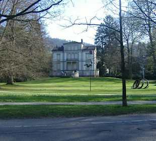 Die immerblühende Rose