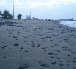 Strand Ende Juni '11