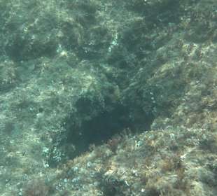 Glasbodenboot Tour Lindos