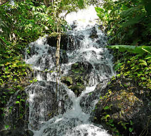 Wasserfall Schmetterlingshaus