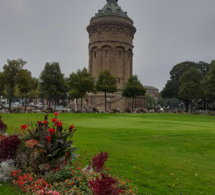 Gartenanlage