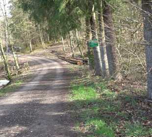 Gomaringer Rundweg - Zu den Giganten im Wald