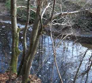 Schönbuch Schaichtal