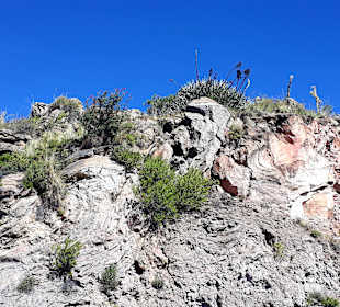 Colca-Canyon