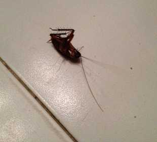 Toilette von der Bar