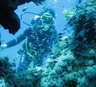 Diving Makadi Bay