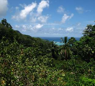 Mahé, Jardin du Roi
