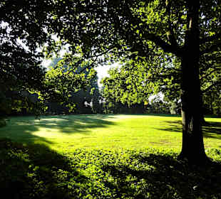 Spaziergang durch Knoops Park