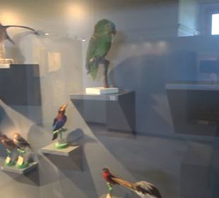 Jura-Museum
