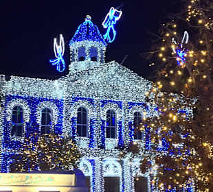 Disney , Orlando in Night