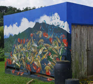 Kurzer Stop bei der Flußkrebsstation