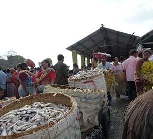 Fischmarkt in Mumbia