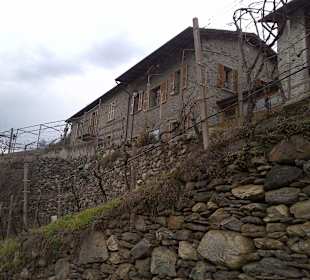 Restaurant in den Rebbergen