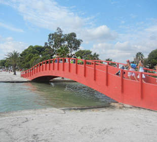 Strand Alcudia