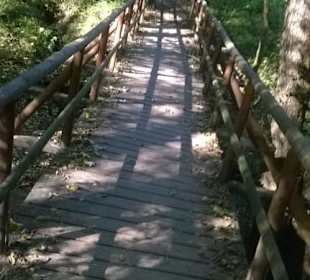 Brücke in der Wolfsschlucht
