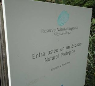 Im Naturpark Los Tilos de Moya