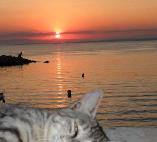 Katerstimmung bei Sonnenuntergang 