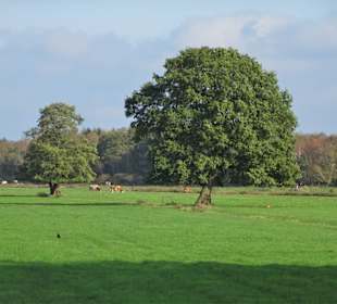 Rundgang um den Kleinen Bornhorster See