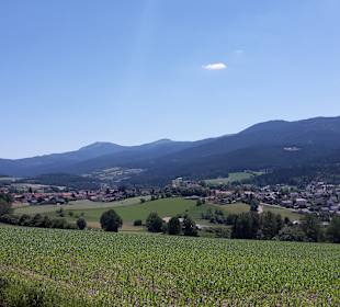 Sonstiges
