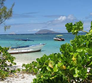 Katamaranausflug zu den Inseln des Nordens