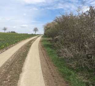 Vulkankrater-Rundweg Apfelstetten