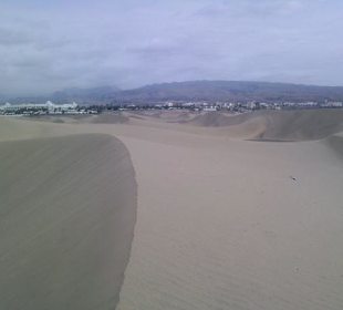 Dunas