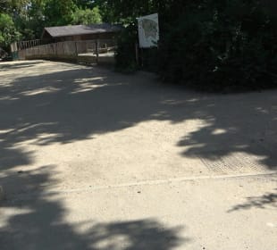 Zoo Heidelberg