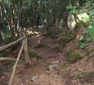 Der Weg ist steil - aber gut ausgebaut