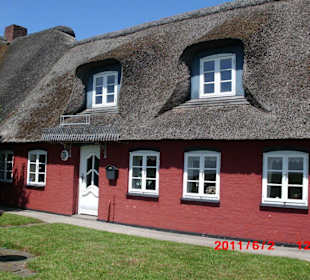  Ponyhof Süderhörn auf Hallig Langeneß