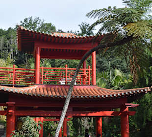 Asiatischer Themenbereich im Park