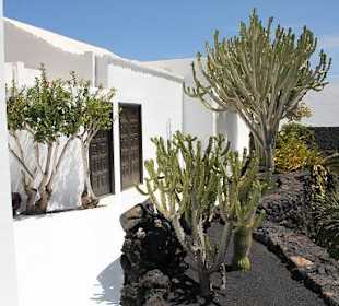 Der Künstler Cesar Manrique (Haus)