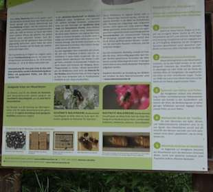 Naturinfopfad Weggental