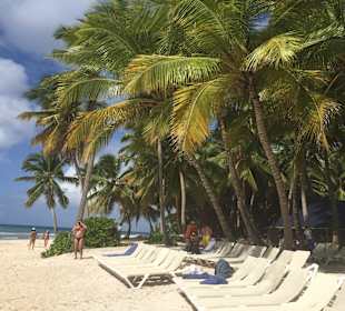 Isla Saona