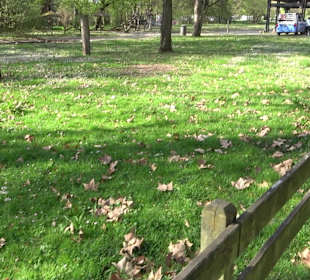 Unterer Schlossgarten Stuttgart