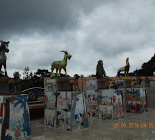 Ganz oben auf der Insel