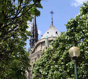 Notre Dame 