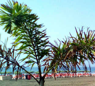 Playa de Tarajalillo in San Agustin